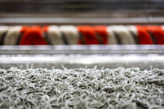 1_Tip-Top-tepih-servis-V7A0486