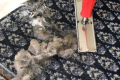 viber_image_2019-07-18_14-27-49